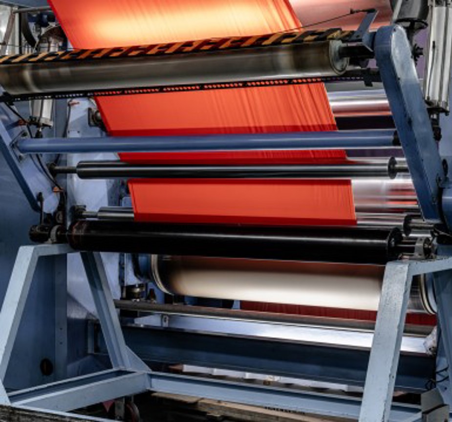 Scopri Whitebrow - Shinhan